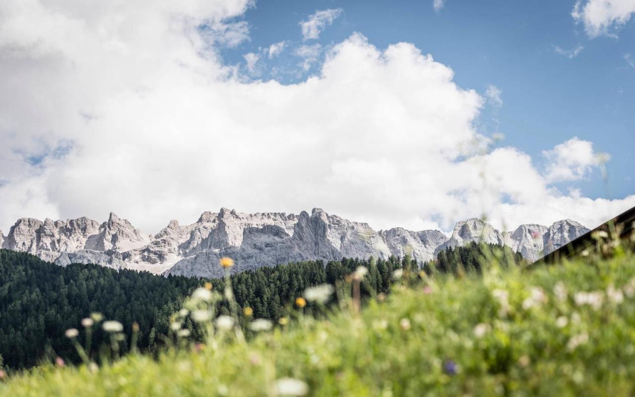 Cadepunt The Dolomites Lodge Sëlva Buitenkant foto